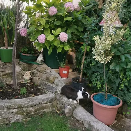 Petra شقة سبليت