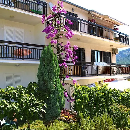 Petra Apartment *